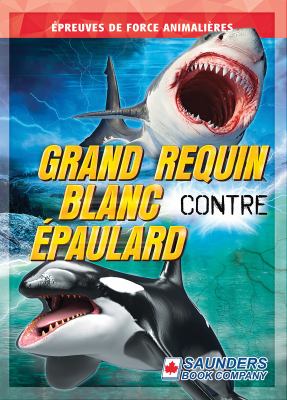 Grand Requin Blanc Contre Épaulard