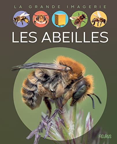 Les abeilles : La grande imagerie